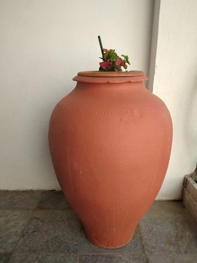 Casa Dos Avos Villa Alcaria da Serra Dış mekan fotoğraf